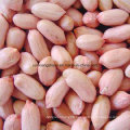 New Crop Peanut Kernel